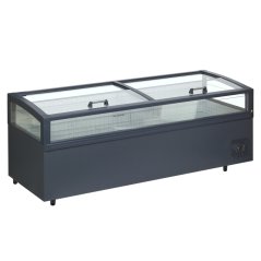 TEFCOLD VIEW 250 CF VS
